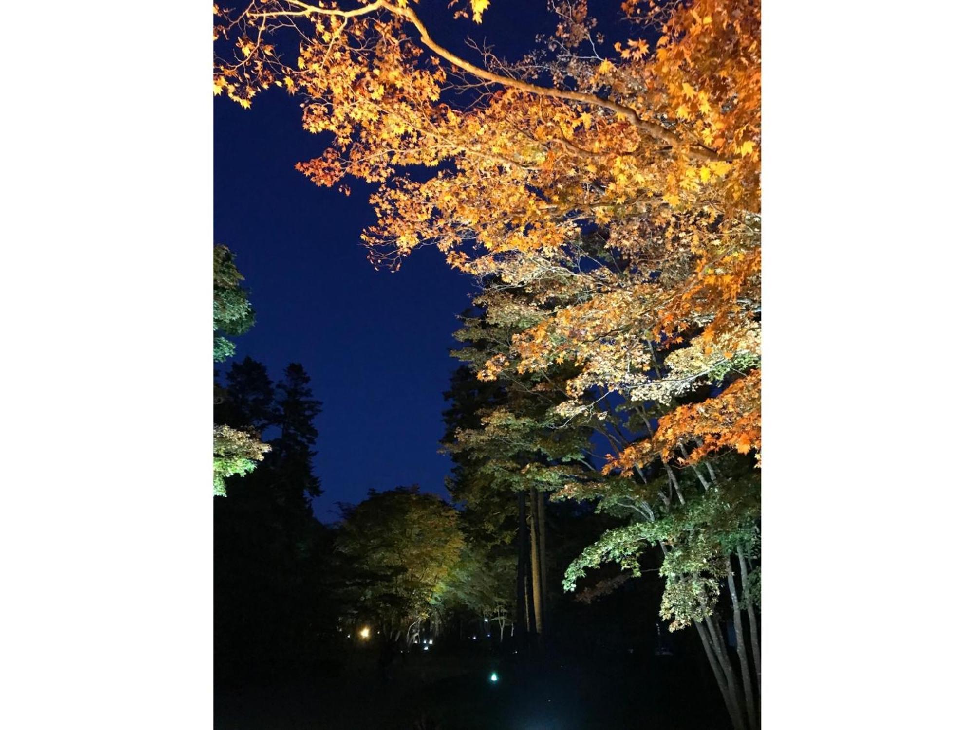 Hotel Tetora Yunokawaonsen - Vacation Stay 30623V Hakodate Eksteriør bilde
